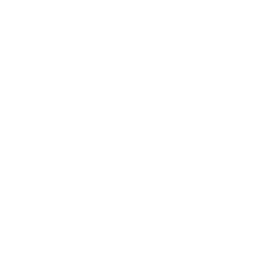 ACE Anvil Logo